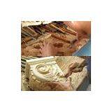 Dongguan American Parts Supplier Co., Ltd. company overview - view 1 thumbnail