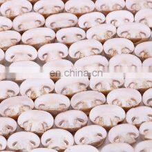 Wholesale Good Quality Delicious Frozen Champignon Mushroom thumbnail-2