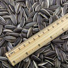 Chinese High Quality Organic Melon Seeds Wholesale Bulk Sunflower Seeds Kernel thumbnail-4