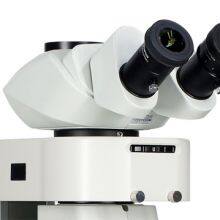 High Power Stereo Fluorescence Microscope MZX200 thumbnail-3