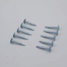 Industrial-Grade Felt Nails - Q195 Low Carbon Steel for Waterproof Membrane thumbnail-4