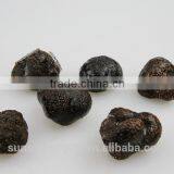 High Quality Wild Black Truffle With Market Prices for Mushroom Free Shipping thumbnail-1