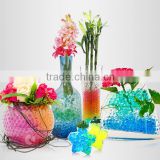 Plant Colorful Soil Water Beads
