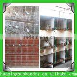 Firm and strong commercial rabbit cages with high quality/low price