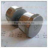 Hot-sale!! 1/2" NPT Taper Thread Hex Plug-304 Stainless Steel Homebrew Hardware Fitting