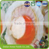 2016 Nutritious high quality frozen hokkaido half shell scallop