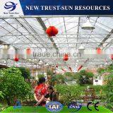 Simple Low Cost Glass Agricultural Greenhouse thumbnail-4
