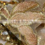 100% Polyester Embroidery Fashion Fabric in 2015 thumbnail-5