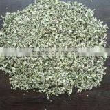 Cistus Incanus , Rock Rose From Turkey thumbnail-1