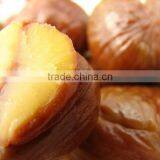 Roasted and Peeled Sweet Chestnut thumbnail-6