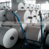 WHITE PP Fabric Roll for Agriculture