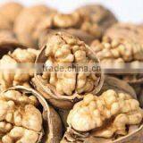 Walnuts in Shell or Kernel Have Good Quality and Cheap Price