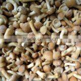 IQF Nameko thumbnail-3