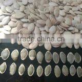 White Pumpkin Seeds in Shell thumbnail-5