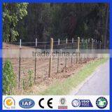 Low Price Good Quality Good Service Painted Metal Studded T Post thumbnail-4