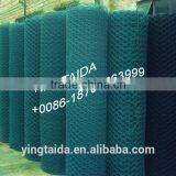 Pvc Coated Hexagonal Wire Mesh ( ISO9001 Factory)