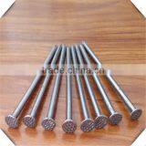 China Supplier for the Polish Common Wire Nails / Hot Sale Common Nails Price