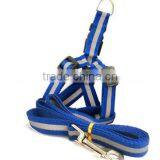 Dog Leash and Straps thumbnail-1