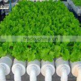 HDPE LDPE Irrigation Pipe thumbnail-5