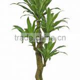 HX010429 Artificial Lucky Dry Tree for Hotel Decoration thumbnail-1