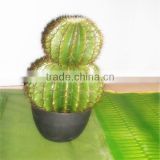 SJM091045 High-quality wholesale 100% natural hoodia decoration artificial cactus P.E. /prickly pear plant
