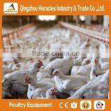 ISO9001 Qualified HERACLES Poultry Equipment Broiler Chicken Feeder /automatic Dosatron Nipple Drinker for Sale thumbnail-1