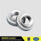 Stainless Steel Screws