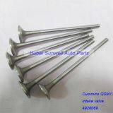 Cummins ISM11 Engine Intake Valve 3800636, 4955239, 3804533 thumbnail-2