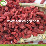 Factory Supply Nutrition Dried Chinese Wolfberry thumbnail-1