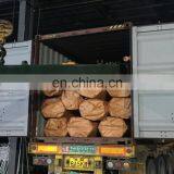 ASTM A213 TP304 304L Stainless Steel Seamless Pipe Eddy Current Pipe Testing thumbnail-4