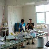 Dongguan Dafeng Model Co., Ltd. company overview - view 2 thumbnail