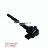Skillful Manufacture Ignition Coil VG1238080015