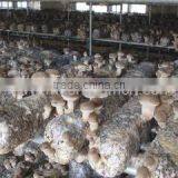 Guangzhou Lianguan Trade Limited Company company overview - view 3 thumbnail