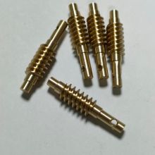 Small module brass worm
