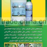 Natural pesticide of plant origin to eliminate nematodes and stimulate the roots