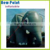 interesting elephant inflatable cartoon characters for sale