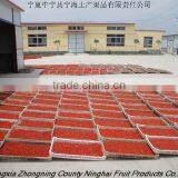 GOJI BERRY 280 thumbnail-1