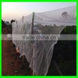 HDPE Hail Netting Anti Hail Netting Plastic Anti-hail Nets thumbnail-6