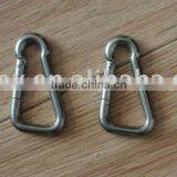 Stainless Steel Oblique Angle Snap Hook
