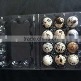 disposable Clamshell blister plastic quail eggs tray 6 holes slots                        
                                                Quality Choice