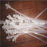 Directly Sales 3*100 Push Mount Nylon Cable Ties Erosion Control (UL Certificate) thumbnail-1
