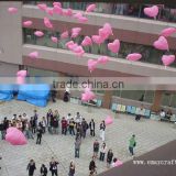 Bio heart balloons