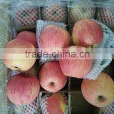 Unbagged Qinguan Apples thumbnail-2