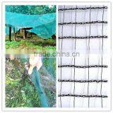 100% Virgin HDPE Olive Net for Farming