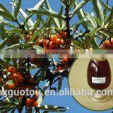 Organic Green Seabuckthorn Fruit Oil thumbnail-1