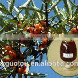 organic green seabuckthorn fruit oil