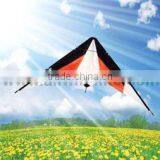 Dual Line Delta Stunt Kites - Straight Edge Kites thumbnail-1