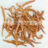 Red Ginseng Export Ginseng Korea Red Ginseng Manufacturers thumbnail-4