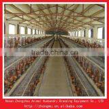 Automatic Farm Chicken Uae Chicken Farm Poultry Equipment for Sale thumbnail-1