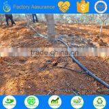 Ts Irrigation Company Drip Irrigation for Trees